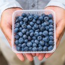 아란농장 | 친환경블루베리 아란 마켓 국산으로 받아보니 신선함 대박ㅠㅠㅎ