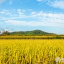 대행영농조합법인 이미지