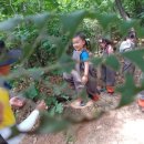 주사랑어린이집 이미지