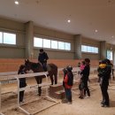 장수승마장 이미지