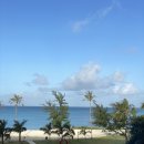 오션프라자 이미지