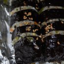 땡초김밥 - 통영시 죽림3로 54-38 | 땡초김밥