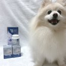 폼피츠 베츠초이스 뉴트리션 S+ 강아지 피부건강 영양제 섭취후기