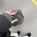 (유)스카이 투어 | 3월초 나홀로 삿포로여행 (눈이 펑펑~!!!) -삿포로 호텔 추천 / 비에이 후라노 버스투어