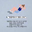 오운완(복부 초급) 이미지