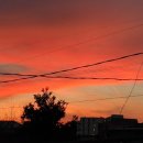 sunkissed sky 이미지