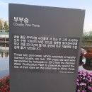 거울공원 Daum카페