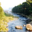 강정동-7 이미지