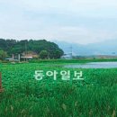 용흥지