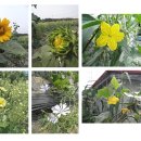 정다운민박 이미지