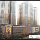 띠아모세탁소 이미지