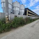 산동농장 이미지