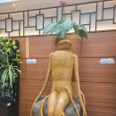 금산인삼랜드(통영) 이미지