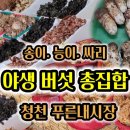청천푸른식품