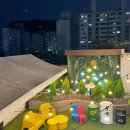 가락로63번길 | 김해시 애견동반여행지 애견동반 여행지 10곳, 코스형 허브 비교 TOP10