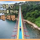 국내에서 가장 긴 울산 대왕암공원 출렁다리를 만나는 울산 동구 여행 / 슬도, 대왕암공원, 이미지