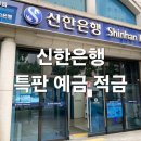 신한은행 연 8.0% 특판?2026년 고금리 적금 예금 고!