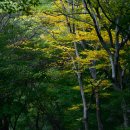 전북 순창 강천산 군립공원 이미지