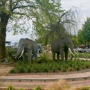 우리 카 랜드 이미지