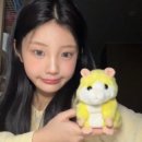 마틴 코르티스 혼혈 국적 부모 가족 나이