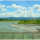 옐로우스톤 이미지