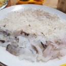 착한산오징어