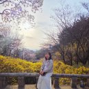 동구정다운어르신복지관 | 대전 봄꽃 나들이 우암사적공원