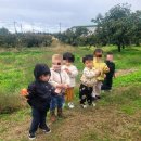 하나렘어린이집 이미지