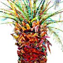 소암미술관 이미지