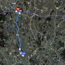 치와와 둥지 이미지