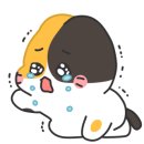 유가네 닭갈비 동래역점 이미지