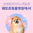 페트로 동물병원 이미지