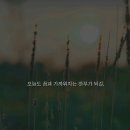 {4월26일} 명동역 정태네 실비집. . . 사진 몇 장, 투척합니다 이미지