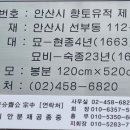 안산김씨 사재감정공파 묘역 | 23.7.2 안산 김씨 사재감정공파묘-홍처윤묘-선부동 지석묘군-윤강묘- 시흥 진덕사