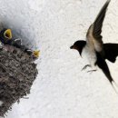 청담동꿀꽈배기 이미지