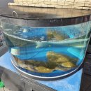 종로초밥 | 종로5가 맛집 추천 이화초밥 모듬초밥 후기