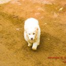 탄현면사무소 이미지