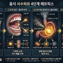 024 이미지