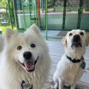 개편한 세상 이미지