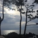 제주감성 이미지