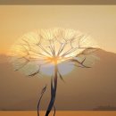 (주)에디넷 이미지