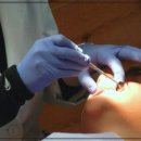 365효플란트치과의원 이미지