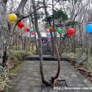 존자암지 이미지