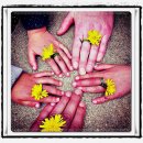 자연동물약국 이미지