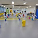 새나루 태권도 이미지