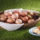 귀래농장 이미지