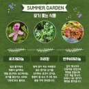 금호화원 네이버블로그