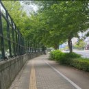 삼송도서관 교양교실 | 더운 날씨 가기 좋은 무더위 쉼터 도서관, 고양시립 삼송도서관