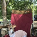 은빛물결캠핑장 이미지