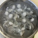 뚱띠 | 인스타 난리난 ‘통수산 뚱띠새우’ 내돈내산 솔직 후기 (생새우회 플레이팅까지!)